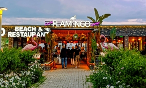 Costa Flamingo Lounge